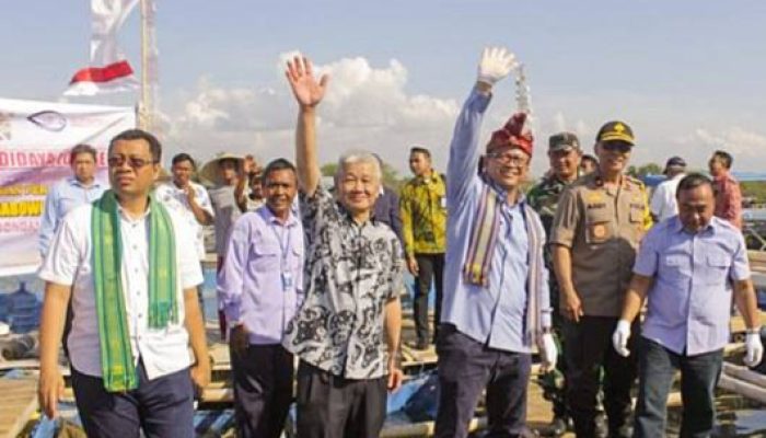Menteri Edhy setuju larangan ekspor benih lobster