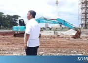 KLHK periksa dampak lingkungan penebangan ratusan pohon di Monas