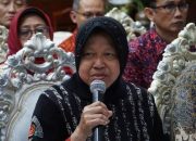 Hukum kemarin, dari Risma cabut laporan sampai penyebab kematian gajah