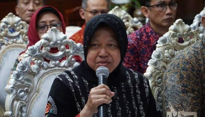Hukum kemarin, dari Risma cabut laporan sampai penyebab kematian gajah