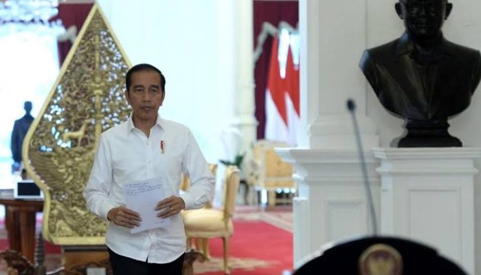 Presiden Jokowi: Pemerintah siapkan dua jenis obat untuk COVID-19