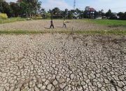 BMKG sebut April jadi awal musim kemarau 2020