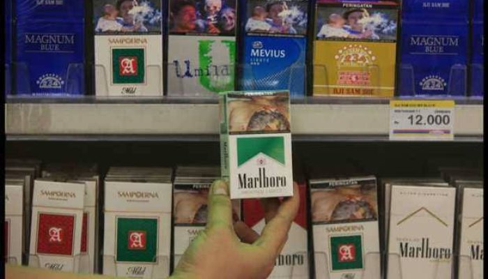 WHO ingatkan jaga kesehatan mental, kurangi rokok saat krisis COVID-19