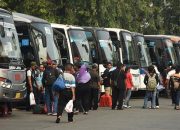 Imbauan MUI: Ketimbang mudik, utamakan keselamatan nyawa