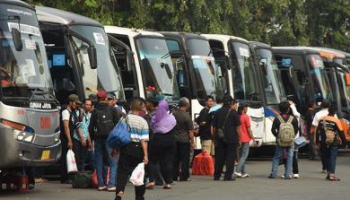 Imbauan MUI: Ketimbang mudik, utamakan keselamatan nyawa
