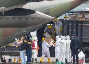 Gugus Tugas: 650 ribu APD hazmat didistribusikan ke seluruh provinsi