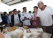 Mentan pastikan ketersediaan pangan secara nasional aman