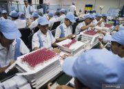 Bio Farma kembangkan plasma darah untuk penyembuhan COVID-19