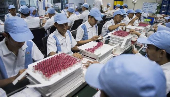 Bio Farma kembangkan plasma darah untuk penyembuhan COVID-19