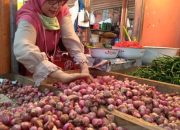 Presiden Jokowi soroti harga bawang merah dan gula pasir