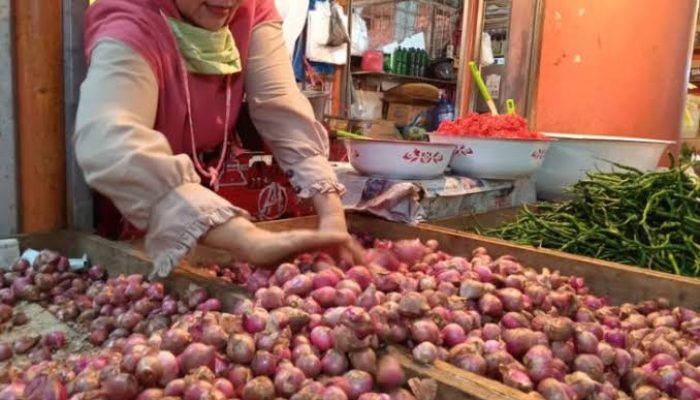 Presiden Jokowi soroti harga bawang merah dan gula pasir