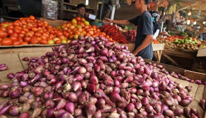 Harga masih tinggi, Kementan sebut bawang merah segera panen raya
