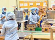 Asosiasi industri dukung pembukaan bertahap aktivitas perekonomian