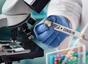Bio Farma dan Sinovac China akan uji klinis vaksin COVID di Indonesia
