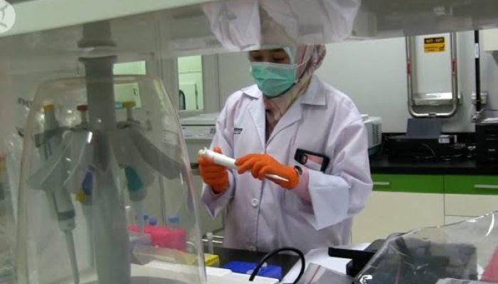 Komite COVID-19 dan PEN bahas pengembangan vaksin corona