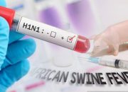 Waspada flu babi, Kementan tingkatkan pengawasan lalu lintas hewan