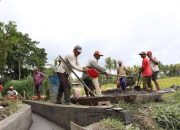 Pemerintah anggarkan Rp356,5 triliun dukung Pemulihan Ekonomi Nasional