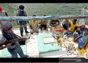 Nyamar jadi nelayan, KKP tangkap 8 pelaku “destructive fishing”