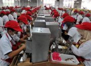 Ribuan Karyawan Sampoerna di Vaksin, Managemen : Dukung Percepatan Penanganan Covid-19