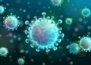 4,1 Juta Kasus Covid-19 di Indonesia, Penurunan Kasus Harus Diwaspadai