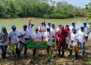 Hari Mangrove Sedunia  PT Chandra Asri Bersama Jurnalis Tanam Mangrove di Pandeglang