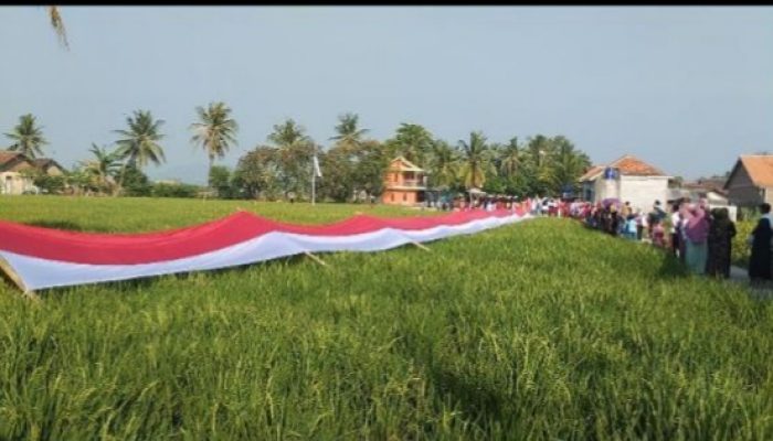 HUT RI,  Warga Bentangkan  Bendera Merah Putih Sepanjang 78 Meter di Tengah Sawah