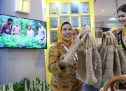 Apkasi Otonomi Expo 2024, Kabupaten Serang Targetkan Tarik Investor Asing