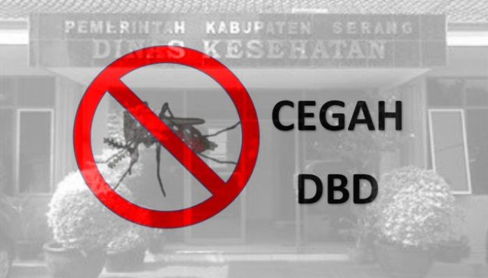 Dinkes Kabupaten Serang Ajak Warga Tingkatkan Kewaspadaan Cegah DBD