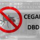 Dinkes Kabupaten Serang Ajak Warga Tingkatkan Kewaspadaan Cegah DBD