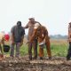 Lahan Seluas 10 Hektar di Kota Serang Akan Segera Menjadi Ladang Pertanian Bawang