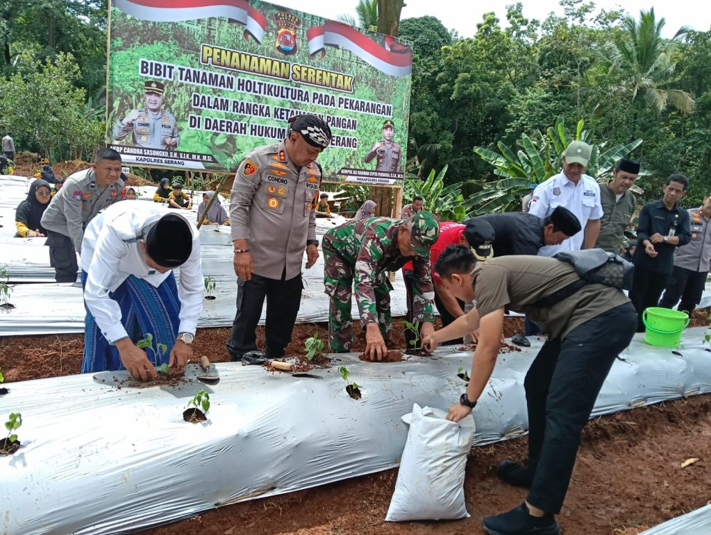 Gerakan Swasembada Pangan, Kapolres Serang dan Santri Tanam 1000 Bibit Tanaman Holtikultura