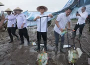 Mendes Jadikan Desa Di Serang Proyek Percontohan Swasembada Pangan