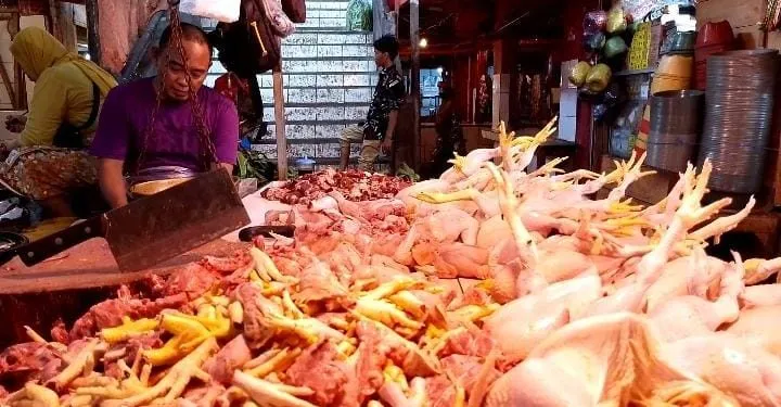 Harga Ayam Potong Di Pasar Badak Pandeglang Mengalami Kenaikan, Mencapai Rp35 Ribu Per Kilogram