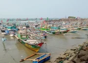BMKG Keluarkan Peringatan Tinggi Gelombang Laut Banten 2,5 Meter