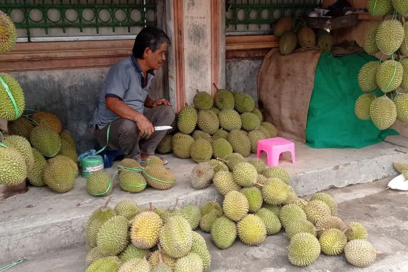 Durian Badui Mulai Ramai Dijajakan Di Rangkasbitung