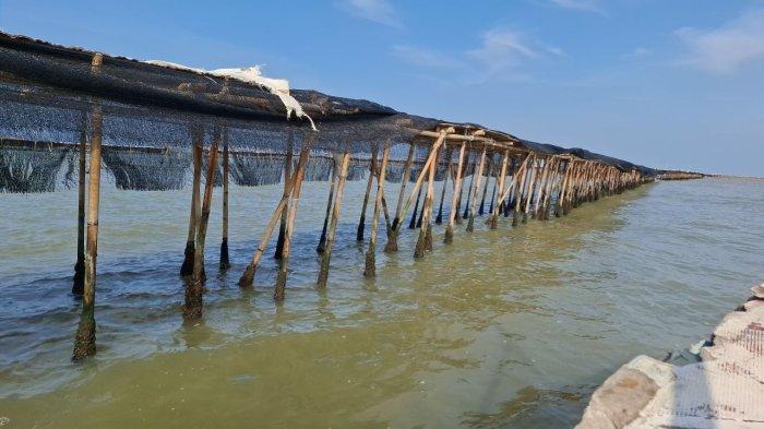 Mengungkap Alasan di Balik Pembangunan ‘Pagar Laut’ di Tangerang