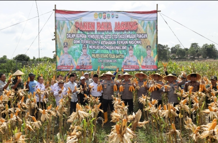 Wujud Nyata Dukung Ketahanan Pangan, Polda Banten Gelar Panen Raya Jagung Hibrida