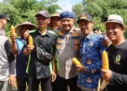Polres Serang Bersama Kelompok Tani Bakti Satu Panen Raya Jagung