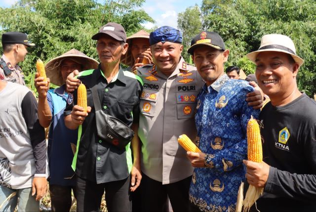 Polres Serang Bersama Kelompok Tani Bakti Satu Panen Raya Jagung