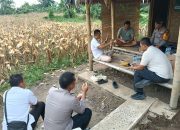 Kapolres Serang Cek Lahan untuk Panen Raya Jagung
