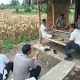 Kapolres Serang Cek Lahan untuk Panen Raya Jagung