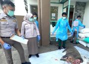 Barantin Gagalkan Penyelundupan Daging Babi Hutan Sekitar 2.9 Ton