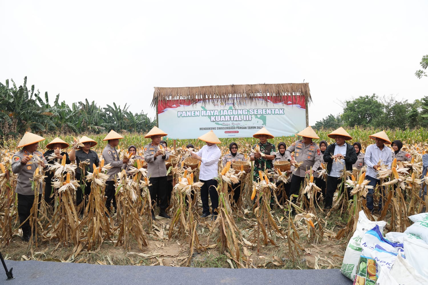 Panen Raya Jagung, Kapolres Dapat Julukan “Polisi Jagung Indonesia