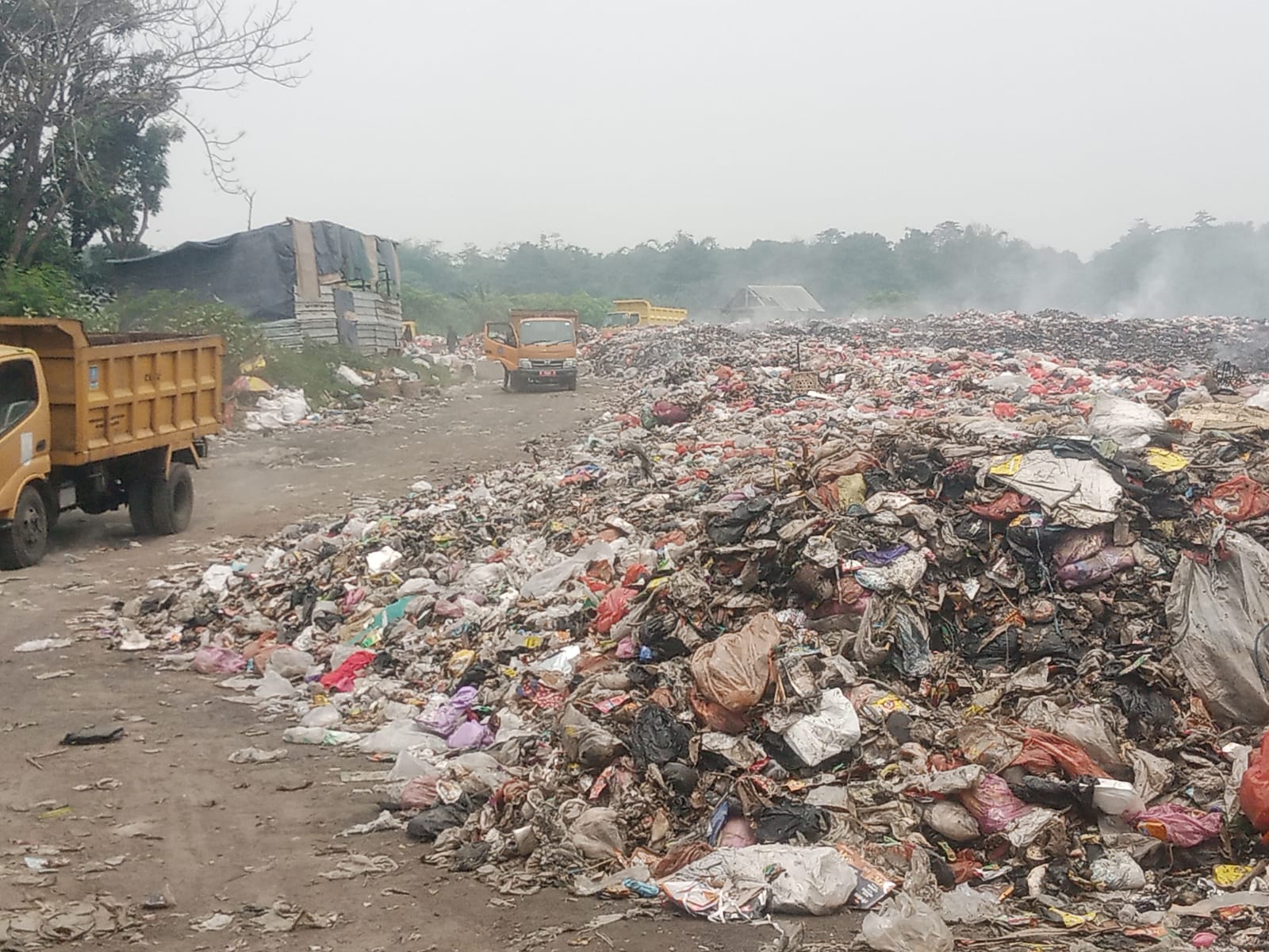 Warga Karang Jetak Keluhkan Bau Sampah dan Serangan Lalat, Minta TPA di Tutup