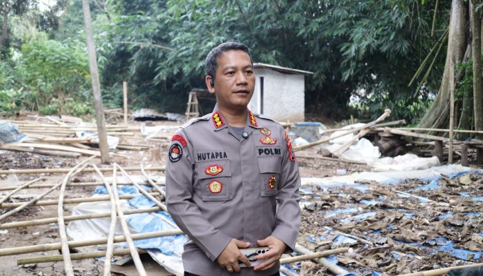 Polda Banten Bongkar Arena Sabung Ayam di Serang, Lokasi Diratakan