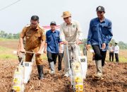 Gubernur Banten Canangkan Gerakan Tanam Jagung untuk Ketahanan Pangan di Banten