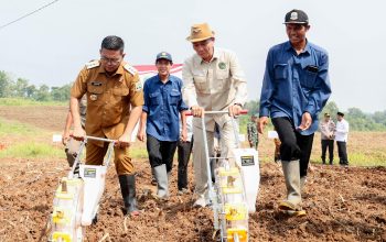 Gubernur Banten Canangkan Gerakan Tanam Jagung untuk Ketahanan Pangan di Banten