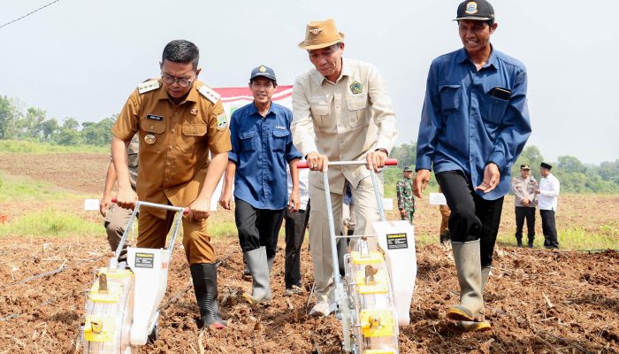 Gubernur Banten Canangkan Gerakan Tanam Jagung untuk Ketahanan Pangan di Banten