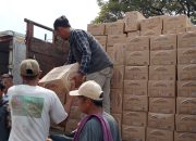 Bulog Serang Kebut Distribusi Minyakita, Pasokan Mulai Normal di Pasar Tradisional