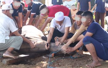 Lapas Serang Sembelih 4 Sapi dan 26 Kambing, Warga Binaan Diajak Nyate Bareng